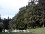 Arboretum Sola gratia, Bystřice pod Hostýnem