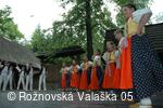 Mezinárodní armádní festival Rožnovská Valaška