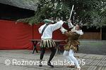 Mezinárodní armádní festival Rožnovská Valaška