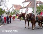 Mezinárodní folklorní festival Česká náves - Dýšina