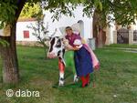 Mezinárodní folklorní festival Česká náves - Dýšina