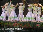Mezinárodní folklorní festival Liptálské slavnosti