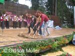 Mezinárodní folklorní festival Liptálské slavnosti