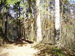 Víceúčelový lázeňský okruh Teplice nad Bečvou