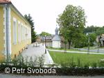 Místní knihovna Lučice