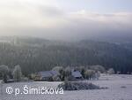 zima